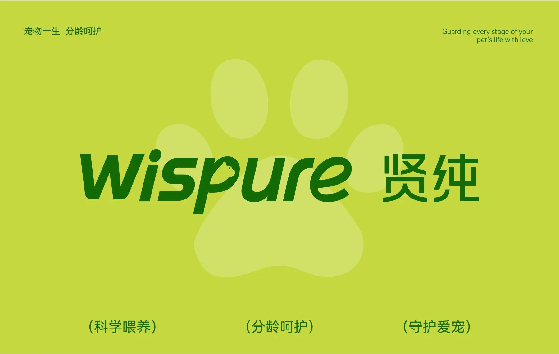 贤纯绿色品牌方向
