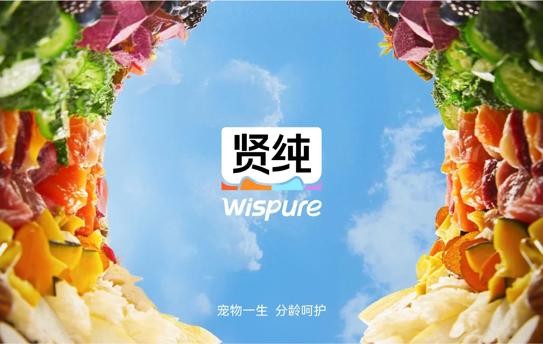食材环绕的品牌应用