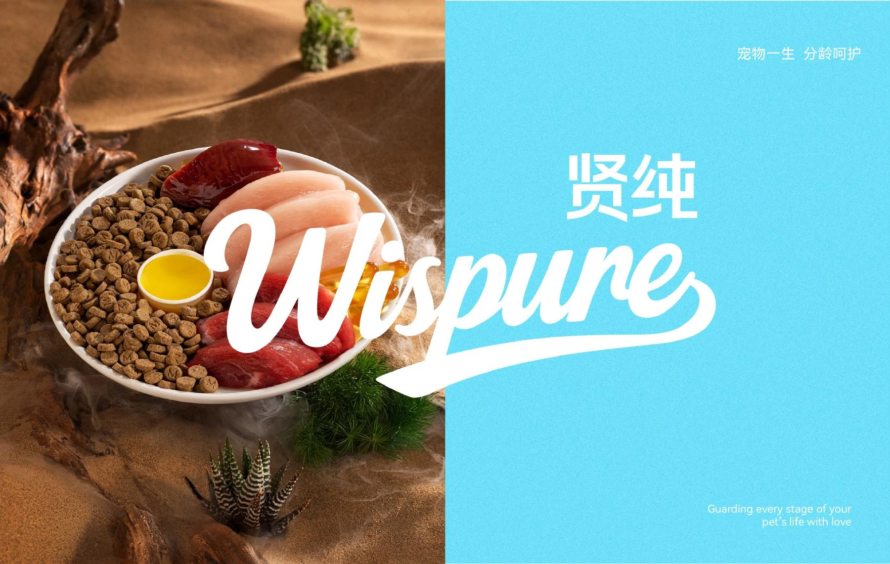 字标与猫咪鲜食画面